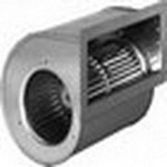 Cooling Fans